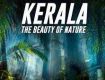 Kerela: enjoy the cool mountain air and take in the beautiful views of the surrounding landscape.