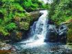 Enjoy Kerala's Monsoon Embrace Nature with Your friends.