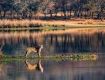 Try your new way of living with Village Home Stay Tour packages