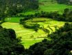 Discover the Monsoon Magic of Coorg