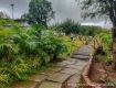 for best tour and mountains expirance at saputara .
