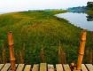 Fresh yourself by Nature Tour packages