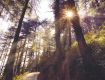 Mcleodganj best tourism place