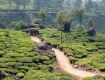 Jorhat is a beautiful place to shop for handloom items like 'pat', 'endi' and 'muga'.
