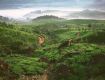 Best Tourism Services with Kerala to provide secure value for your money.