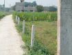 Plot Sale in Kalyani Nadia