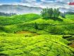 Best offers on ooty Tour packages
