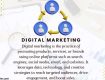 Want More Leads Get a Free Website Audit Now