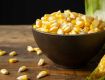 XPERT TRADING - Maize @ 14%Moisture