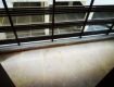 2 BHK 900 Sq Ft Independent/ Builder Floor In , Sector 110A, Gurgaon