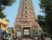 Seasonal trips with best Monsoon Tour packages