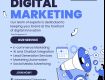 Best Digital Marketing Agency