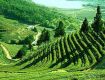 Best offers on Holiday Tour Packages Assam