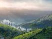 Best Tourism Services with Kerala to provide secure value for your money