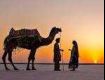 Best offers on Holiday Tour Packages to kutch