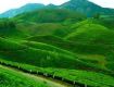 Best Tourism Services with Kerala to provide secure value for your money
