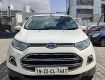 2013 Ford EcoSport Titanium 1.5 TDCi For Sale In Chennai