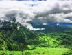 Best offers on Domestic Air or Train Packages