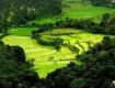 Best way to share with Culture & Heritage packages