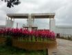 1200 Sq Ft Residential Plot In Sai Chamundeshwari City, Anekal, Bangalore