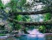 Seasonal trips with best Monsoon Tour packages for Meghalaya