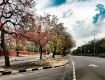 Chandigarh for Best offers on Eco Tour packages