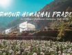 Our holiday travel packages encompass everything the traveler needs For Sirmaur