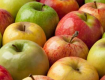 Apples in Himachal Pradesh