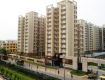 3 BHK 1137 Sq Ft Apartment In Tulip Orange, Sector 69, Gurgaon