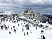 Our holiday travel packages encompass everything the traveler needs For shimla