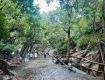 Best offers Ranthambore  on Holiday Tour Packages