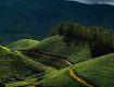 Best way to share with Culture & Heritage packages for Munnar