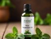 Aromaaz Oil: Your Source for Pure Peppermint Oil
