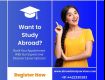 Study Abroad Consultant