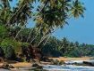 Planning the trip, booking travel tickets then this is the right space for booking the cheapest rates  at Goa