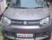 Maruti Ignis Car for Sale