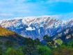 Accommodation to the best deals on Manali on best offers
