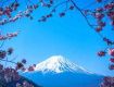You are ahead to fulfill your energy with our Adventure Tour packages.