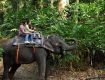 Kurangani hills trekking adventures package 1 N / 2 D