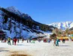 Best offers on Holiday Tour Packages Manali