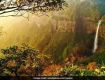 Relax yourself by availing Yoga and Spa Tour packages Meghalaya