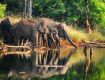 Enjoy with your kids at Wildlife Jungle Safari Tour packages