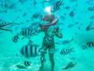 Mauritius Tour Package 5N/6D