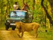 Enjoy with your kids at Wildlife Tour packages gir jungle safari