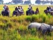 South Africa Wildlife Trip 2N/3D Tarangire National Park