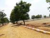 167 Sq Yd Residential Plot In Spring City, Ameenpur, Hyderabad