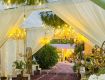 Trusted Wedding Planner in Lucknow for Dream Weddings