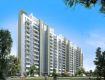 3 BHK 1790 Sq Ft Apartment In Royaleville, Sector 82, Gurgaon