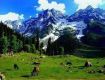 Cheap fair available on Volvo Tour Packages kashmir
