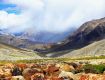 Your passport to unforgettable moments in ladakh